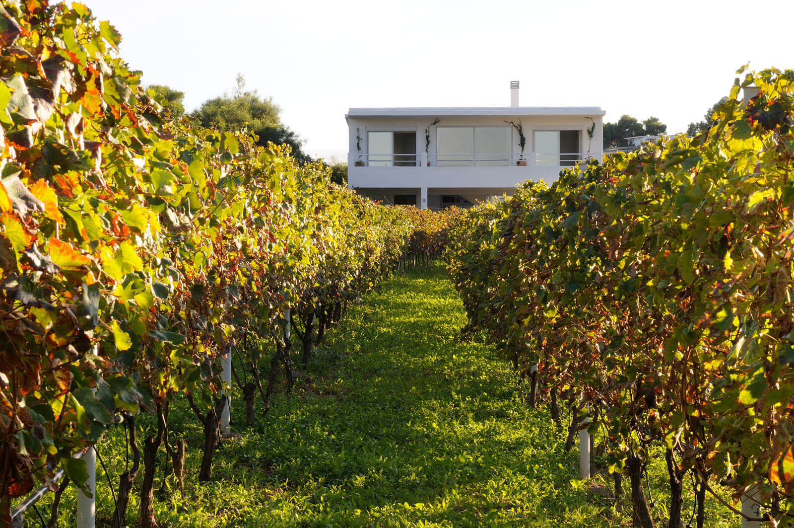 Luxury Villas MYPORTOHELI