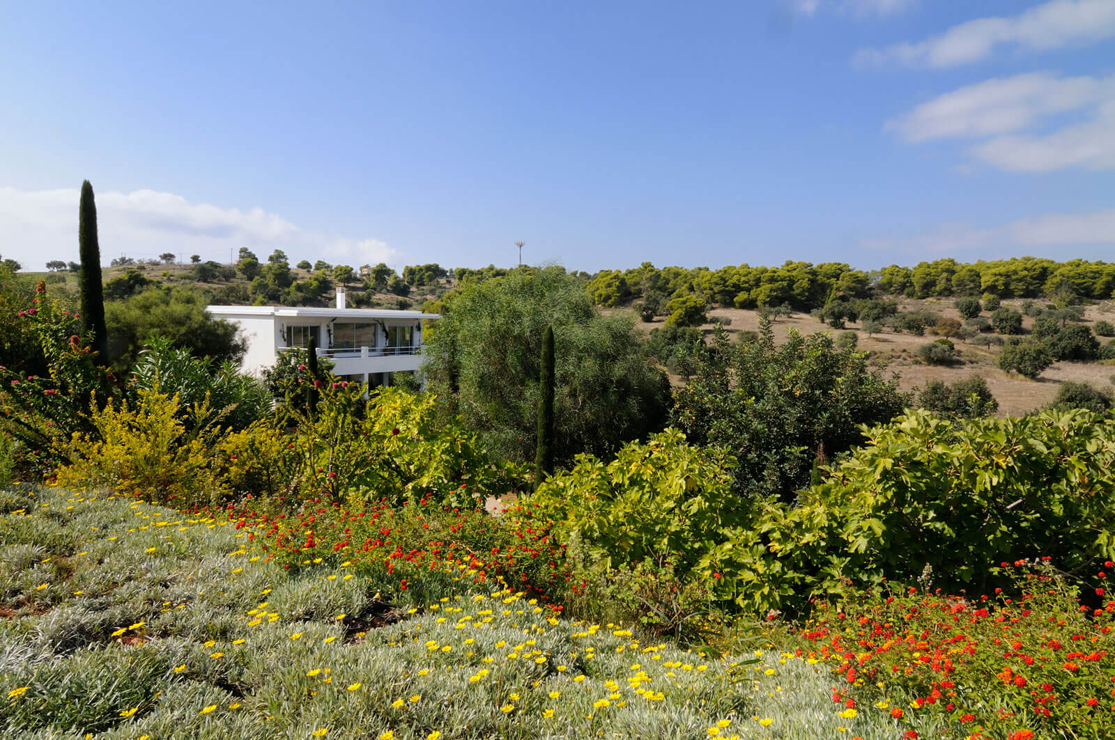 Luxury Villas MYPORTOHELI